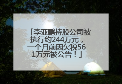 李亚鹏持股公司被执行约244万元，一个月前因欠税561万元被公告！