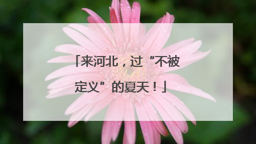 来河北，过“不被定义”的夏天！