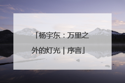 杨宇东：万里之外的灯光｜序言