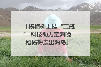 杨梅树上挂“宝瓶” 科技助力定海晚稻杨梅走出海岛
