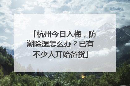 杭州今日入梅，防潮除湿怎么办？已有不少人开始备货