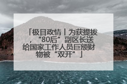 极目政情丨为获提拔，“80后”副区长送给国家工作人员巨额财物被“双开”