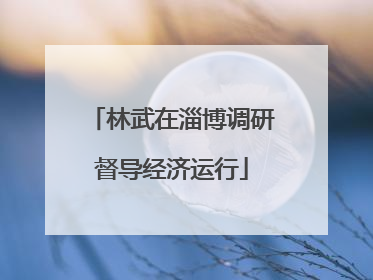 林武在淄博调研督导经济运行