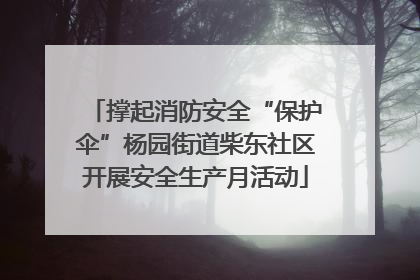 撑起消防安全“保护伞”杨园街道柴东社区开展安全生产月活动