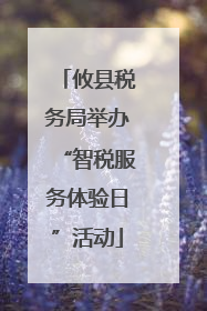 攸县税务局举办“智税服务体验日”活动