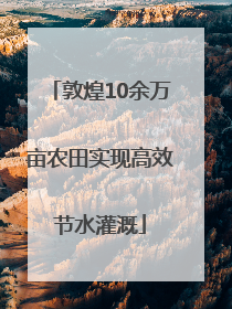敦煌10余万亩农田实现高效节水灌溉