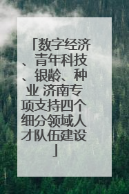 数字经济、青年科技、银龄、种业 济南专项支持四个细分领域人才队伍建设
