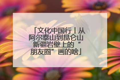 文化中国行丨从阿尔泰山到昆仑山 新疆岩壁上的“朋友圈”画的啥