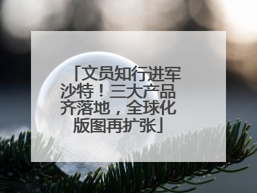 文员知行进军沙特！三大产品齐落地，全球化版图再扩张
