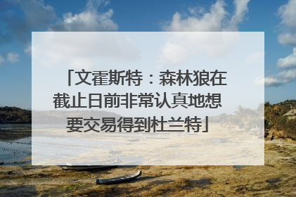 文霍斯特：森林狼在截止日前非常认真地想要交易得到杜兰特