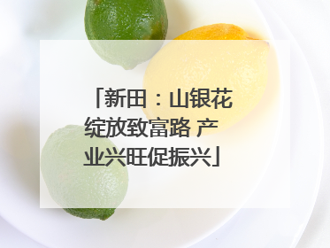 新田：山银花绽放致富路 产业兴旺促振兴