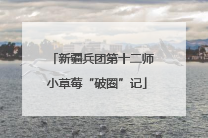 新疆兵团第十二师小草莓“破圈”记
