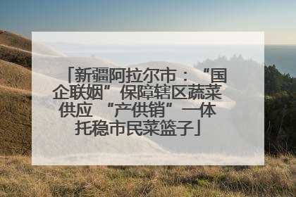新疆阿拉尔市：“国企联姻”保障辖区蔬菜供应 “产供销”一体托稳市民菜篮子