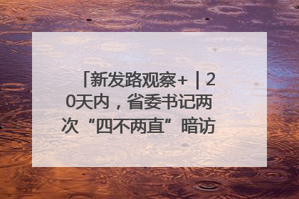 新发路观察+｜20天内，省委书记两次“四不两直”暗访，有何深意？