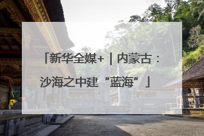 新华全媒+｜内蒙古：沙海之中建“蓝海”