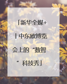新华全媒+丨中东欧博览会上的“数智”科技秀