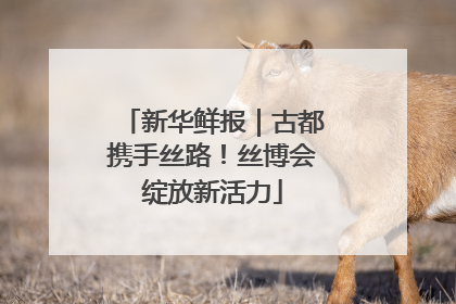新华鲜报｜古都携手丝路！丝博会绽放新活力