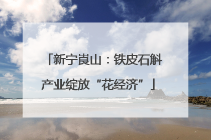 新宁崀山：铁皮石斛产业绽放“花经济”