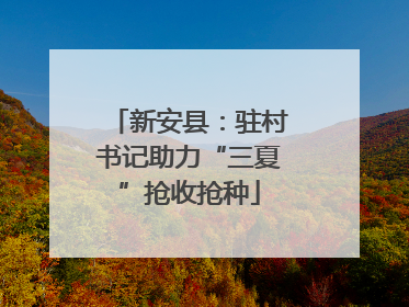 新安县：驻村书记助力“三夏”抢收抢种