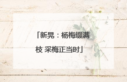 新晃：杨梅缀满枝 采梅正当时