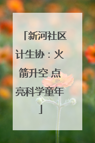 新河社区计生协：火箭升空 点亮科学童年