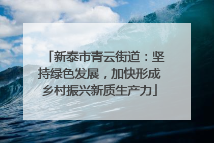 新泰市青云街道：坚持绿色发展，加快形成乡村振兴新质生产力