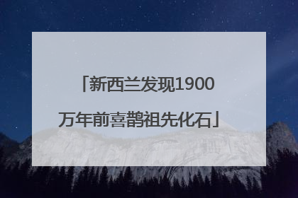 新西兰发现1900万年前喜鹊祖先化石