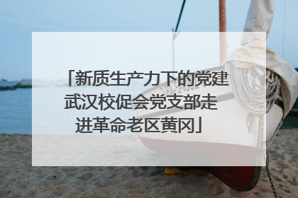 新质生产力下的党建 武汉校促会党支部走进革命老区黄冈