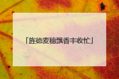 旌德麦穗飘香丰收忙