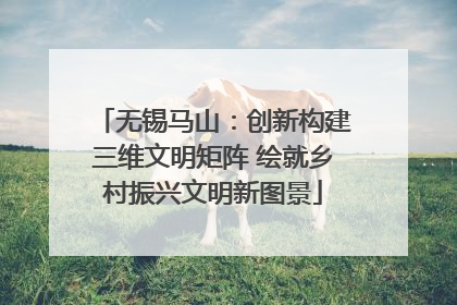 无锡马山：创新构建三维文明矩阵 绘就乡村振兴文明新图景
