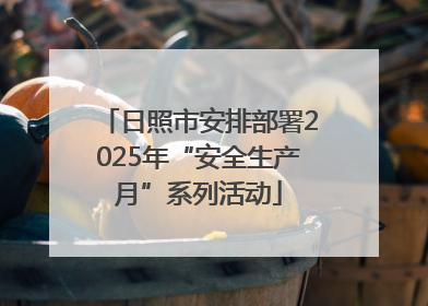 日照市安排部署2025年“安全生产月”系列活动