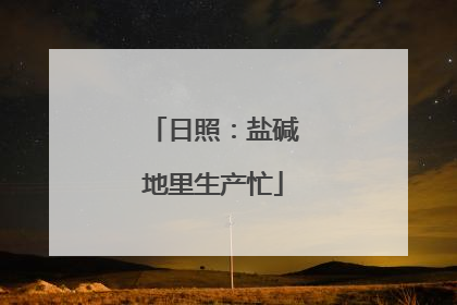 日照：盐碱地里生产忙