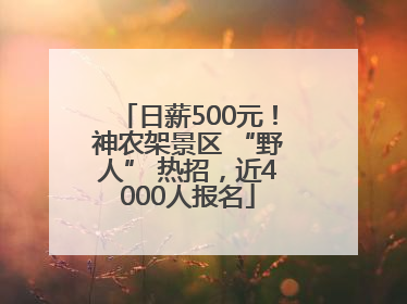 日薪500元！神农架景区 “野人” 热招，近4000人报名