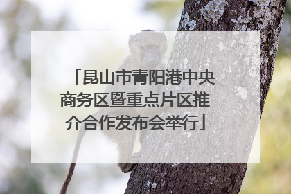 昆山市青阳港中央商务区暨重点片区推介合作发布会举行