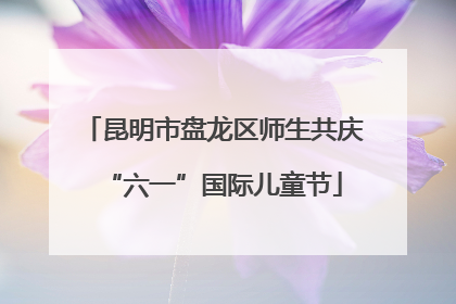 昆明市盘龙区师生共庆“六一”国际儿童节