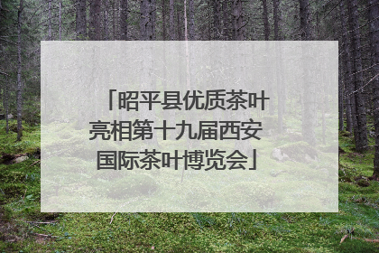 昭平县优质茶叶亮相第十九届西安国际茶叶博览会