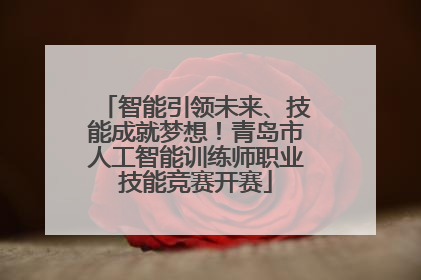 智能引领未来、技能成就梦想！青岛市人工智能训练师职业技能竞赛开赛
