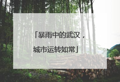 暴雨中的武汉，城市运转如常