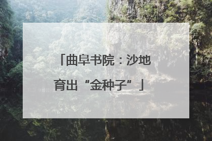 曲阜书院：沙地育出“金种子”