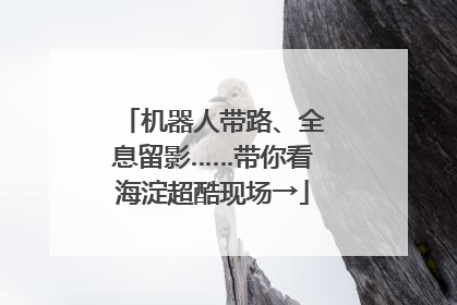 机器人带路、全息留影……带你看海淀超酷现场→