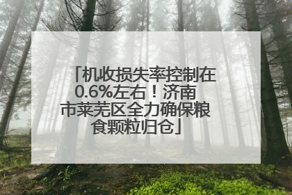 机收损失率控制在0.6%左右！济南市莱芜区全力确保粮食颗粒归仓