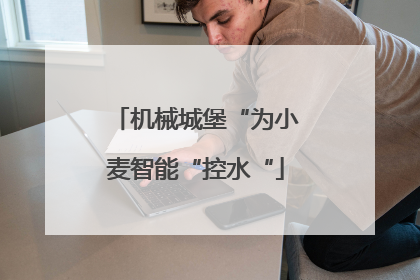 机械城堡“为小麦智能“控水“
