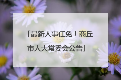 最新人事任免！商丘市人大常委会公告