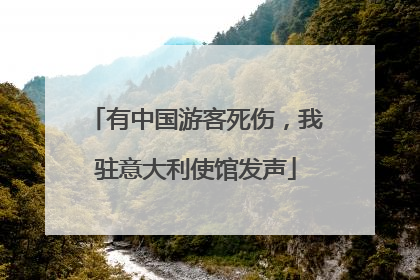 有中国游客死伤，我驻意大利使馆发声