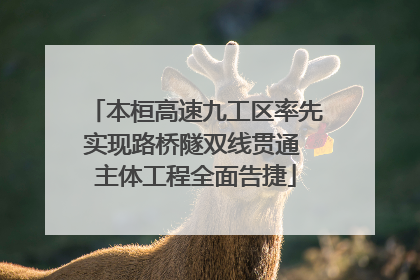 本桓高速九工区率先实现路桥隧双线贯通 主体工程全面告捷