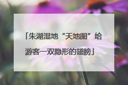 朱湖湿地“天地图”给游客一双隐形的翅膀