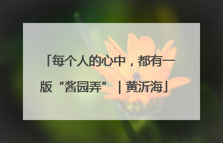 每个人的心中，都有一版“酱园弄”｜黄沂海