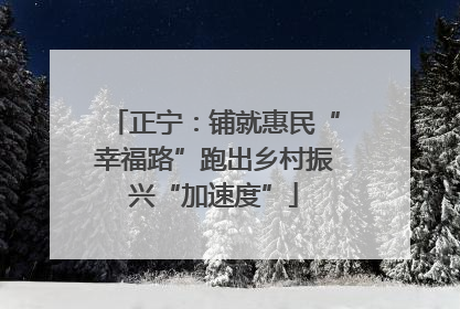 正宁：铺就惠民“幸福路”跑出乡村振兴“加速度”