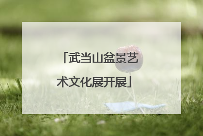 武当山盆景艺术文化展开展