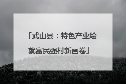 武山县：特色产业绘就富民强村新画卷